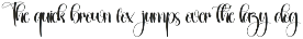 Amsterdam | Script Font preview