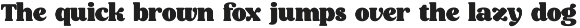 Moringa Bold Serif Font preview