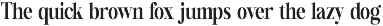 New Back Elegant Family Serif Font preview