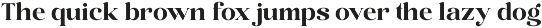 Sora Carnel - Retro Serif Typeface preview