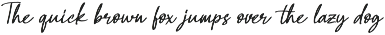 Austin Lilly / Organic Handwritten preview