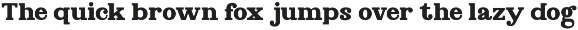 Norvane Decorative Serif Font preview