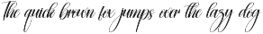 Anytimes | Script Font preview