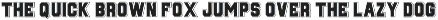 Championship Jersey – Slab Serif preview