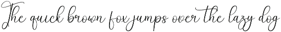 School Back | Script Font preview