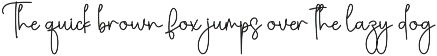Homestay | Script Font preview