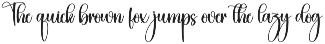 Dingbats | Script Font preview
