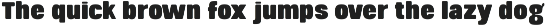 Corge Display Sans Serif Font preview