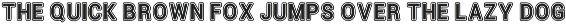 Beach Vintage Outline Display Font preview
