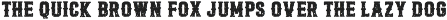 Vintage Western Grunge Font preview