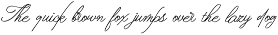 ScribeTales - Elegant Organic Script preview