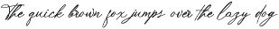 ScribeTales - Elegant Organic Script preview
