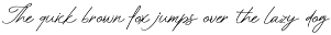 ScribeTales - Elegant Organic Script preview