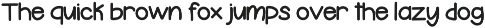 Tiny Acorns - Handwritten Sans Font preview