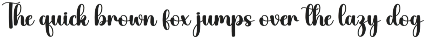 Chubby | Script Font preview
