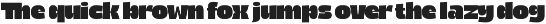 Fresh Chunky Retro Groovy Sans preview