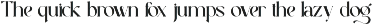 Elegant Serif - Rastica preview