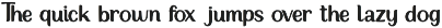 Padefo | Modern Luxury Serif Typefac preview