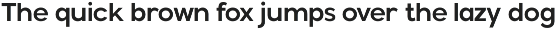 Modern Sans Serif Family - Balimo preview