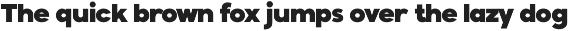 Modern Sans Serif Family - Balimo preview