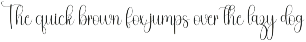 Signature preview