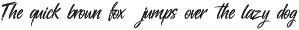 Raize Brush font preview