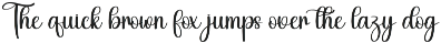 Rhinestone | Script Font preview