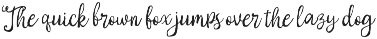 Violetta Brigida - Whimsical Font preview