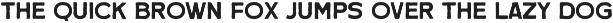 Goldray Club Retro Font Duo preview
