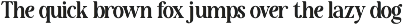 The Raffined Serif | Editorial Font preview
