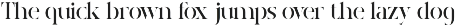 Neilora - Elegant Stencil Serif Font preview