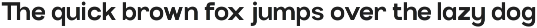 TBJ Cota Sans Grotesk Modern Sans preview