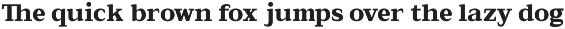 GC New Times Remain - Timeless Serif preview