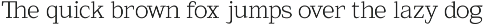 GC New Times Remain - Timeless Serif preview
