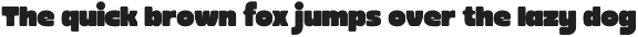 Retro Sans - Chunky Huskey preview