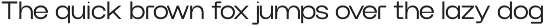 Werk Neue - A Modern Sans-serif Font preview