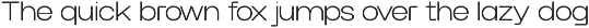 Werk Neue - A Modern Sans-serif Font preview