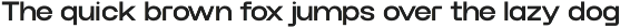 Werk Neue - A Modern Sans-serif Font preview