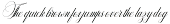 Delighton Script preview