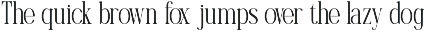 Melarune Modern Elegant Serif Font preview