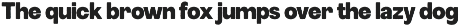 FBS Funegral - Compressed Font preview