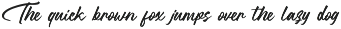 Bigtimes - A Modern Script preview