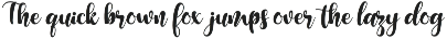 Shadenz - Script Display Font preview