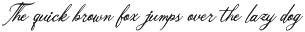 Ruilanty | Vintage Script Font preview