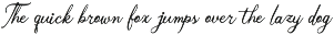 Ruilanty | Vintage Script Font preview