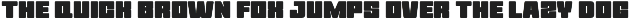 Avaya - Bold Display Sans Font preview