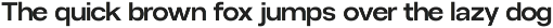 Gaglio Family Font preview