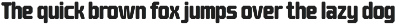 Barend - Brutalist Display Sans Font preview