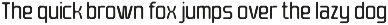 Barend - Brutalist Display Sans Font preview