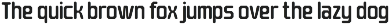 Barend - Brutalist Display Sans Font preview